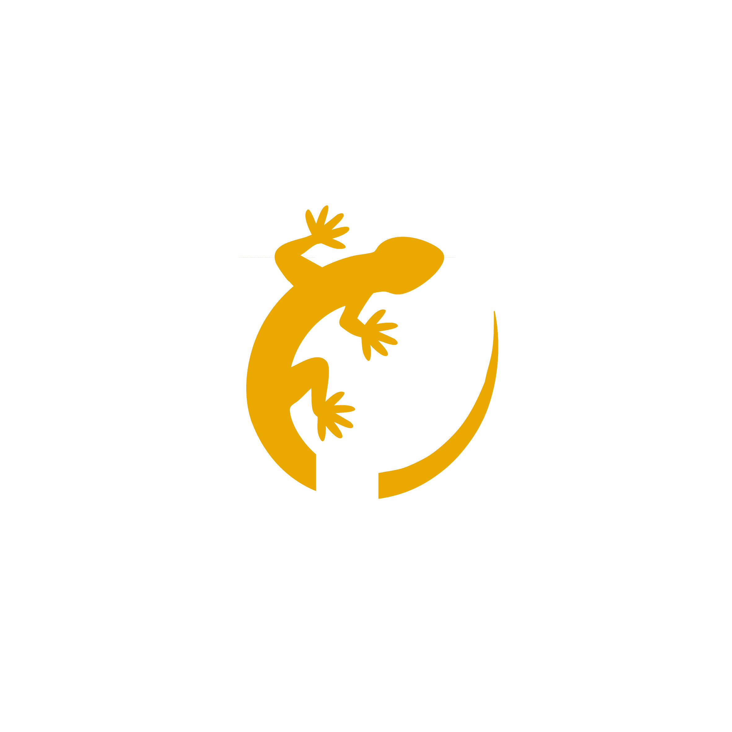 Le Triton, bar convivial au centre-ville de Dijon avec bières craft et planches apéritives