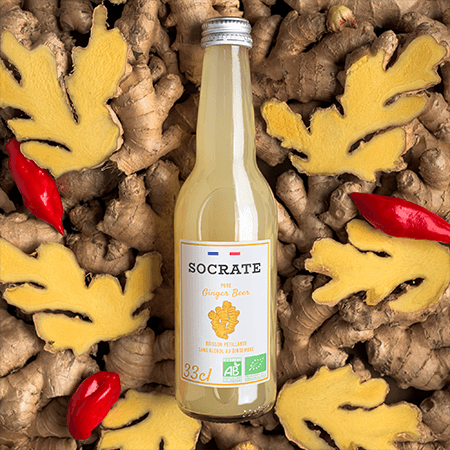 Pure Ginger Beer — Socrate