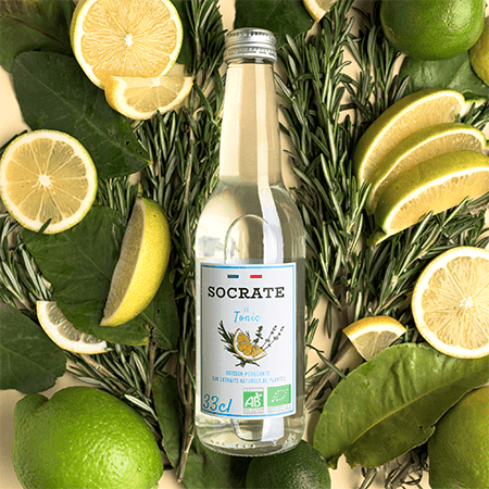 Le Tonic — Socrate